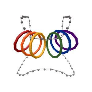 Rainbow Rings